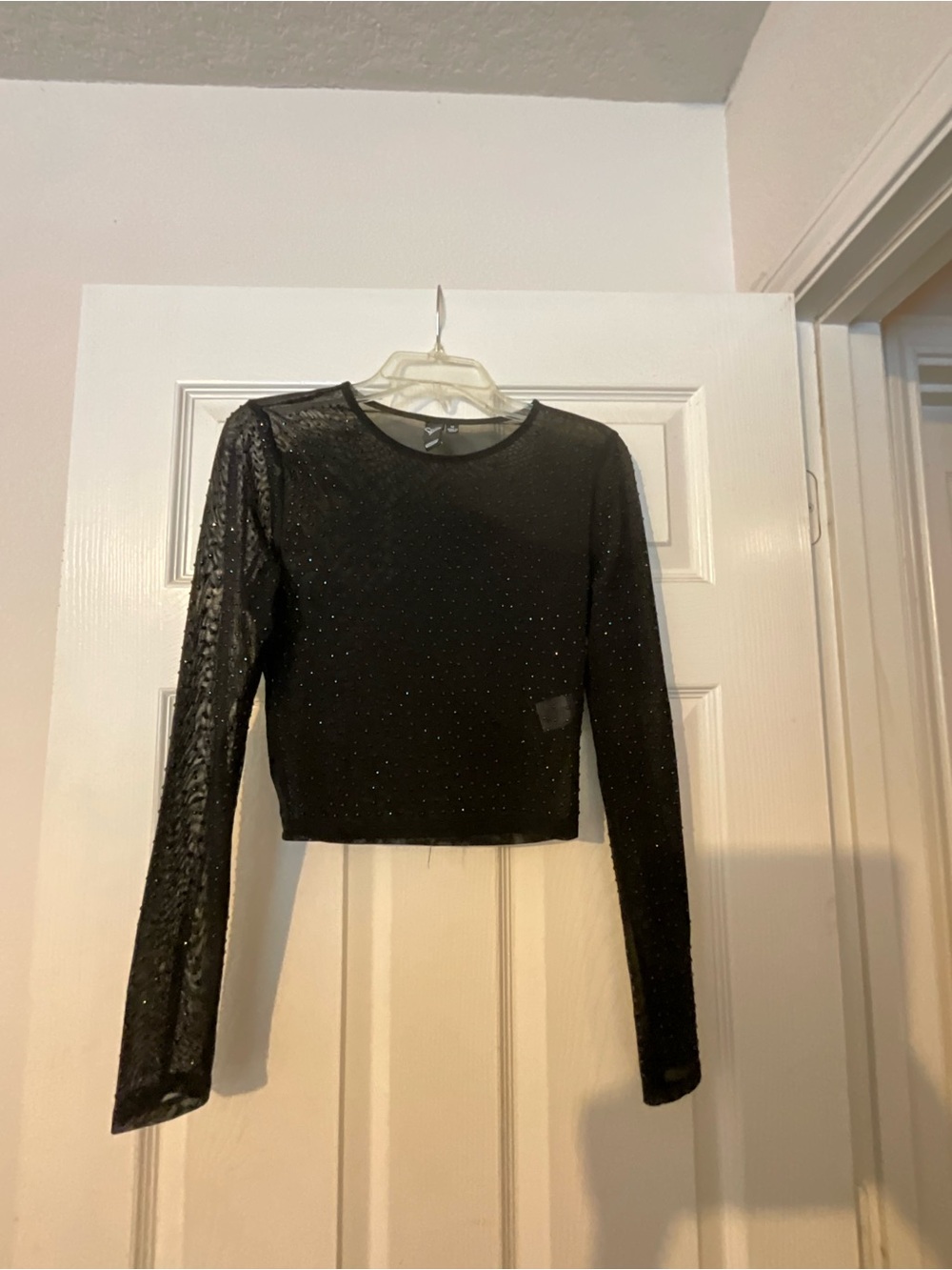 Windsor Sheer Black Glitter Long-Sleeve Crop Top